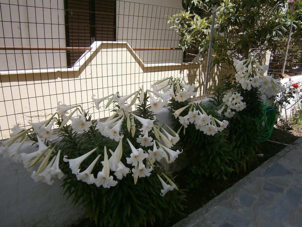 Amfi Apartments Kardamena  Luaran gambar